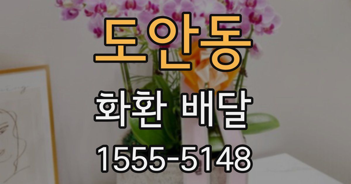 도안동 화환 배달