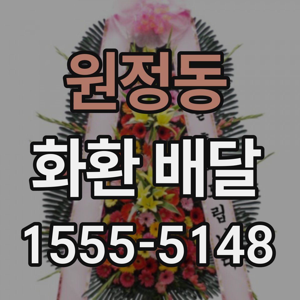 원정동 화환 배달