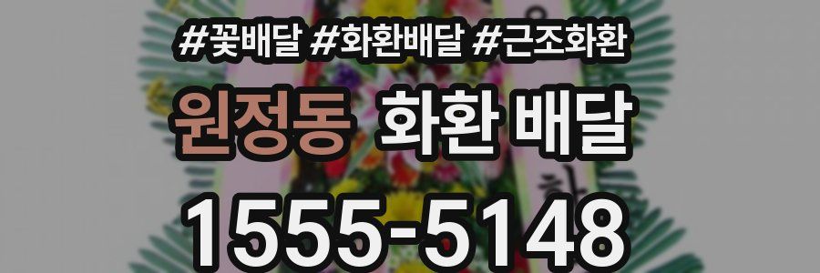원정동 화환 배달