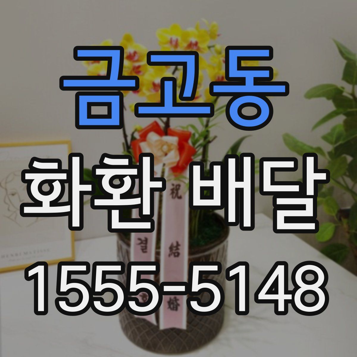 금고동 화환 배달