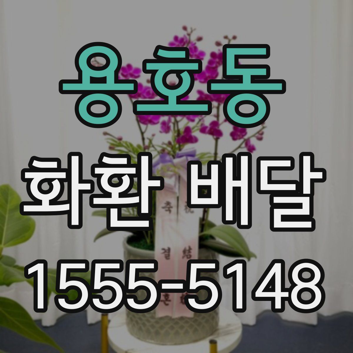 용호동 화환 배달