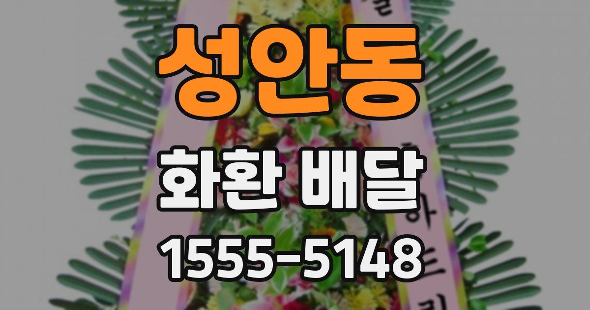 성안동 화환 배달