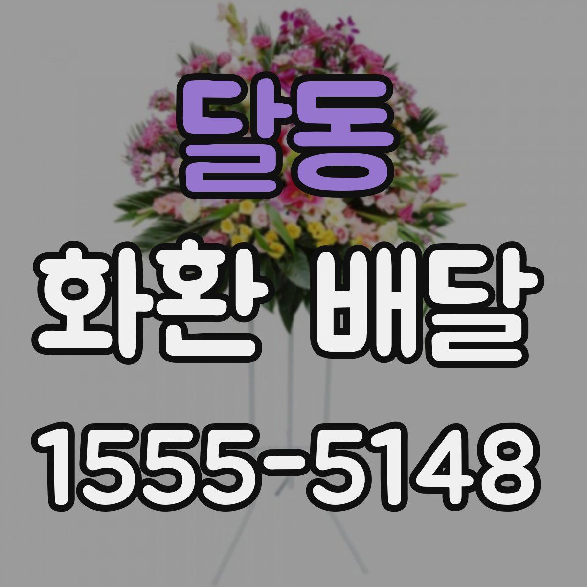달동 화환 배달