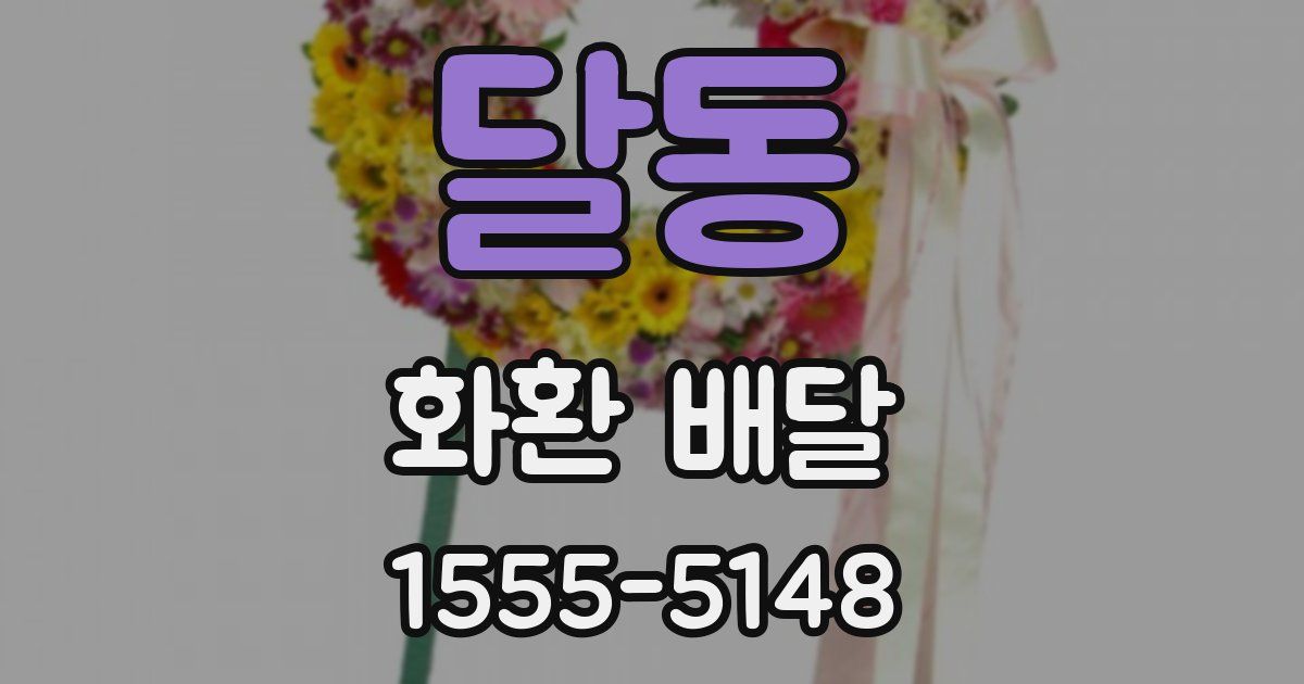달동 화환 배달