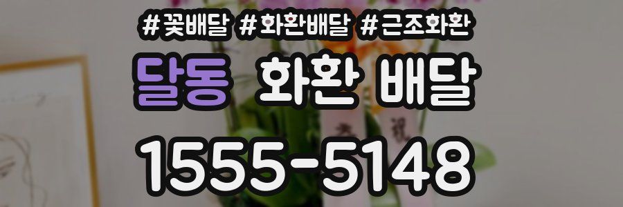 달동 화환 배달