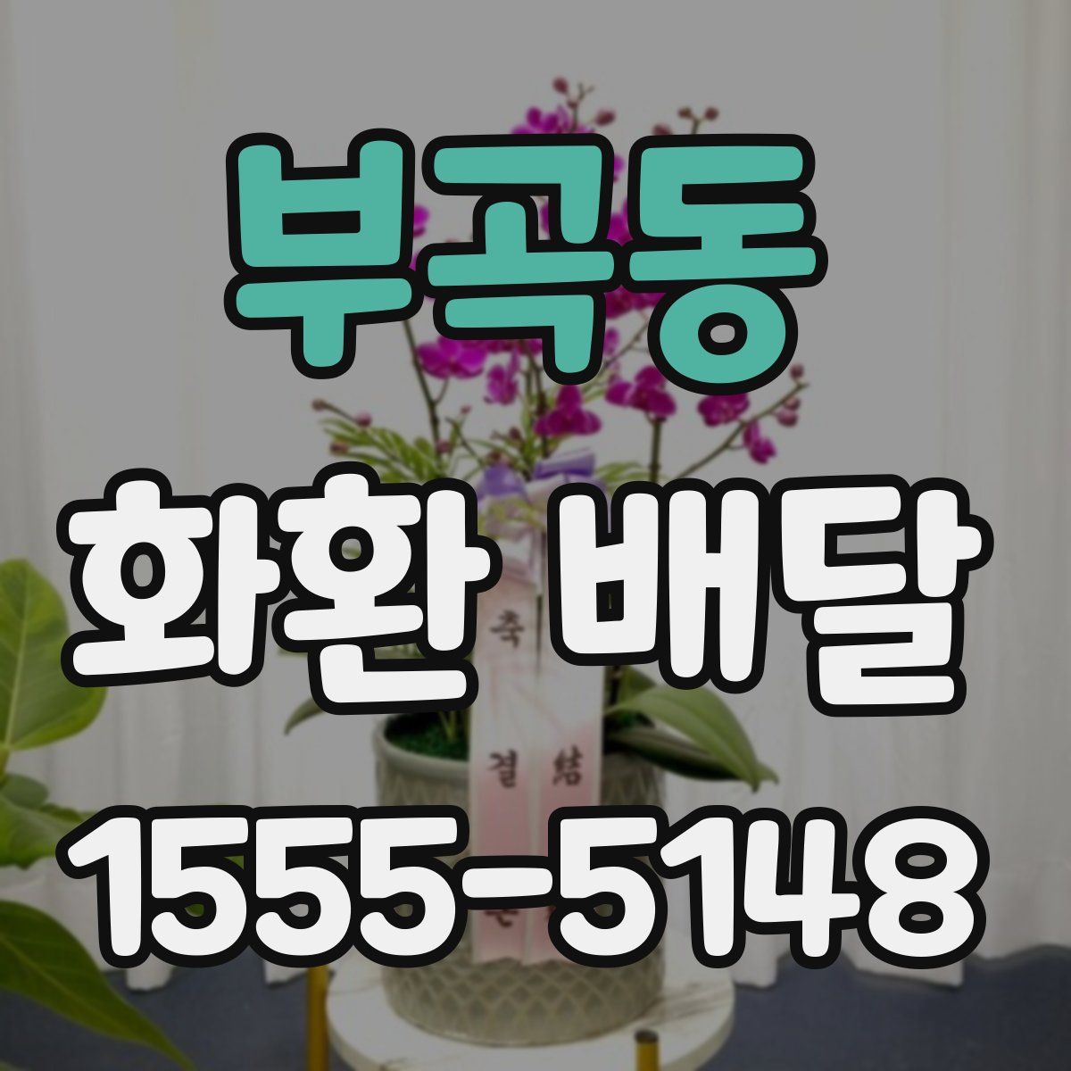 부곡동 화환 배달