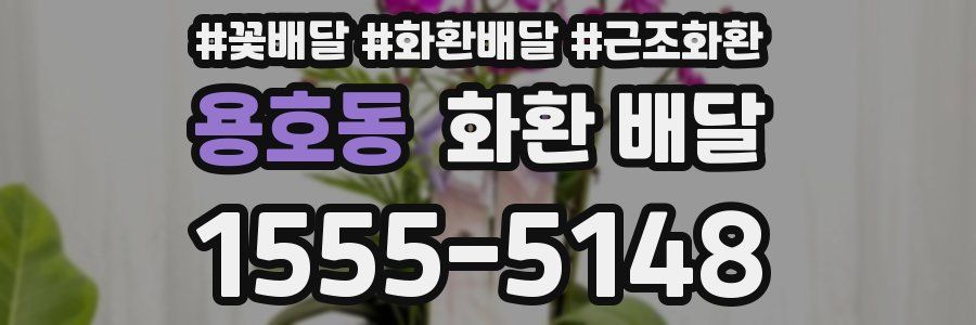 용호동 화환 배달
