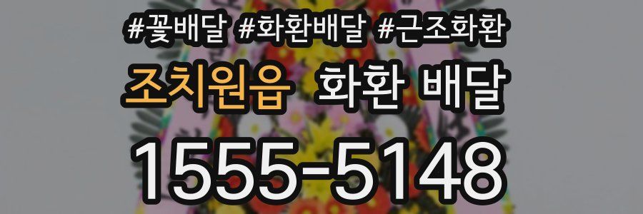 조치원읍 화환 배달