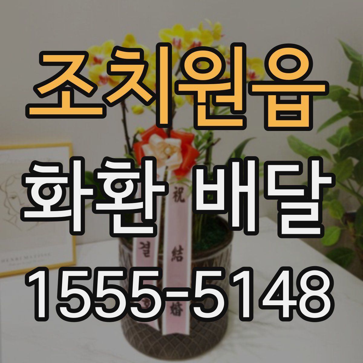 조치원읍 화환 배달