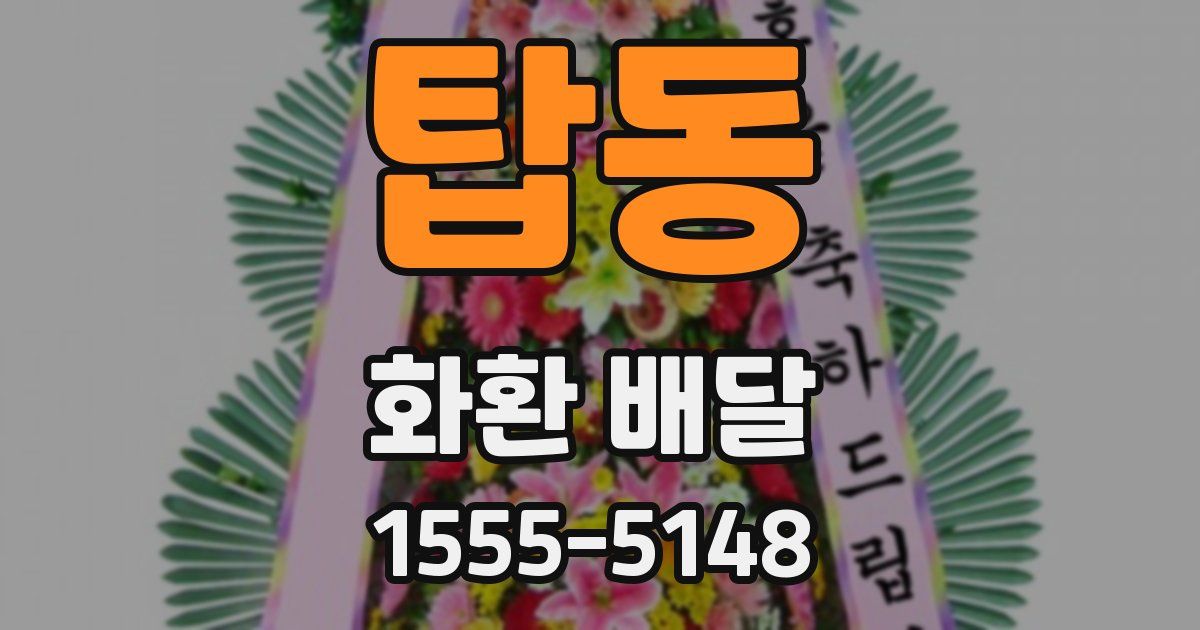 탑동 화환 배달