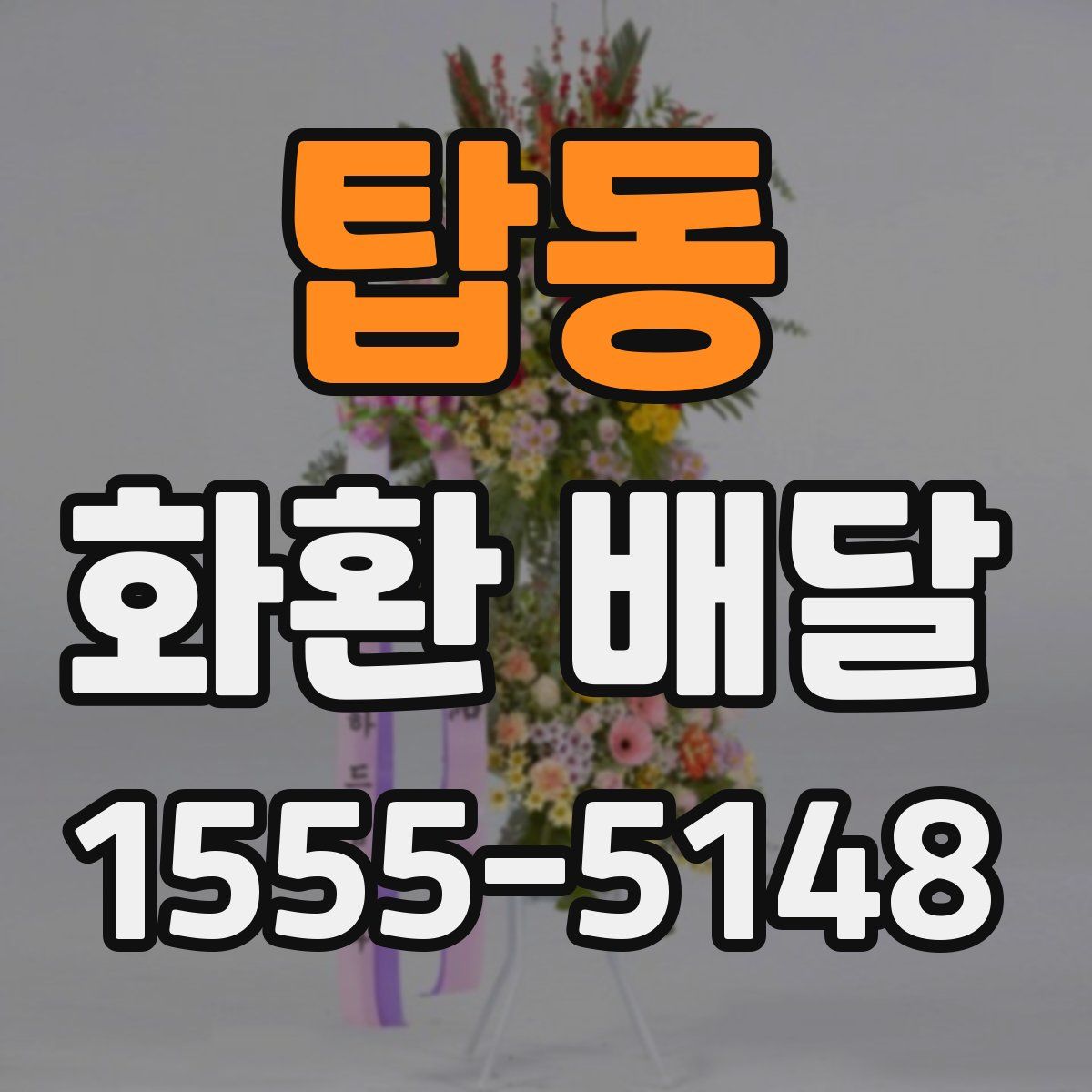 탑동 화환 배달
