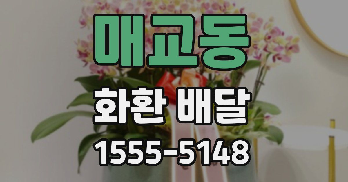 매교동 화환 배달