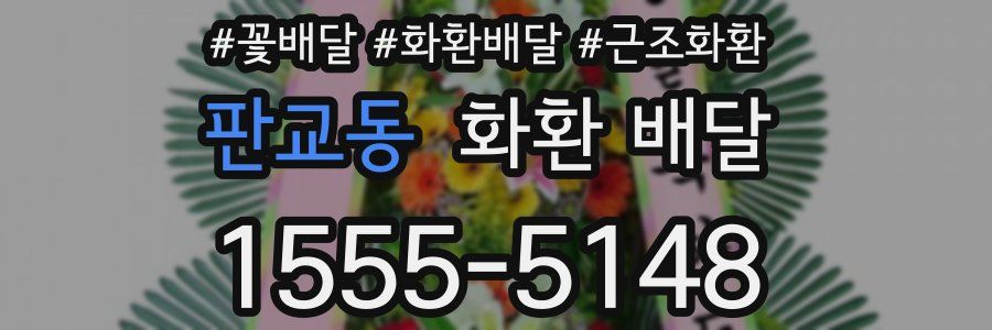 판교동 화환 배달