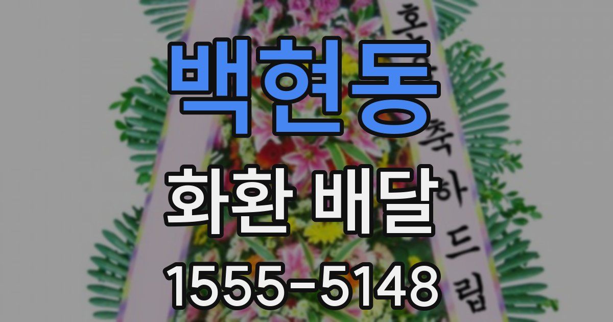 백현동 화환 배달
