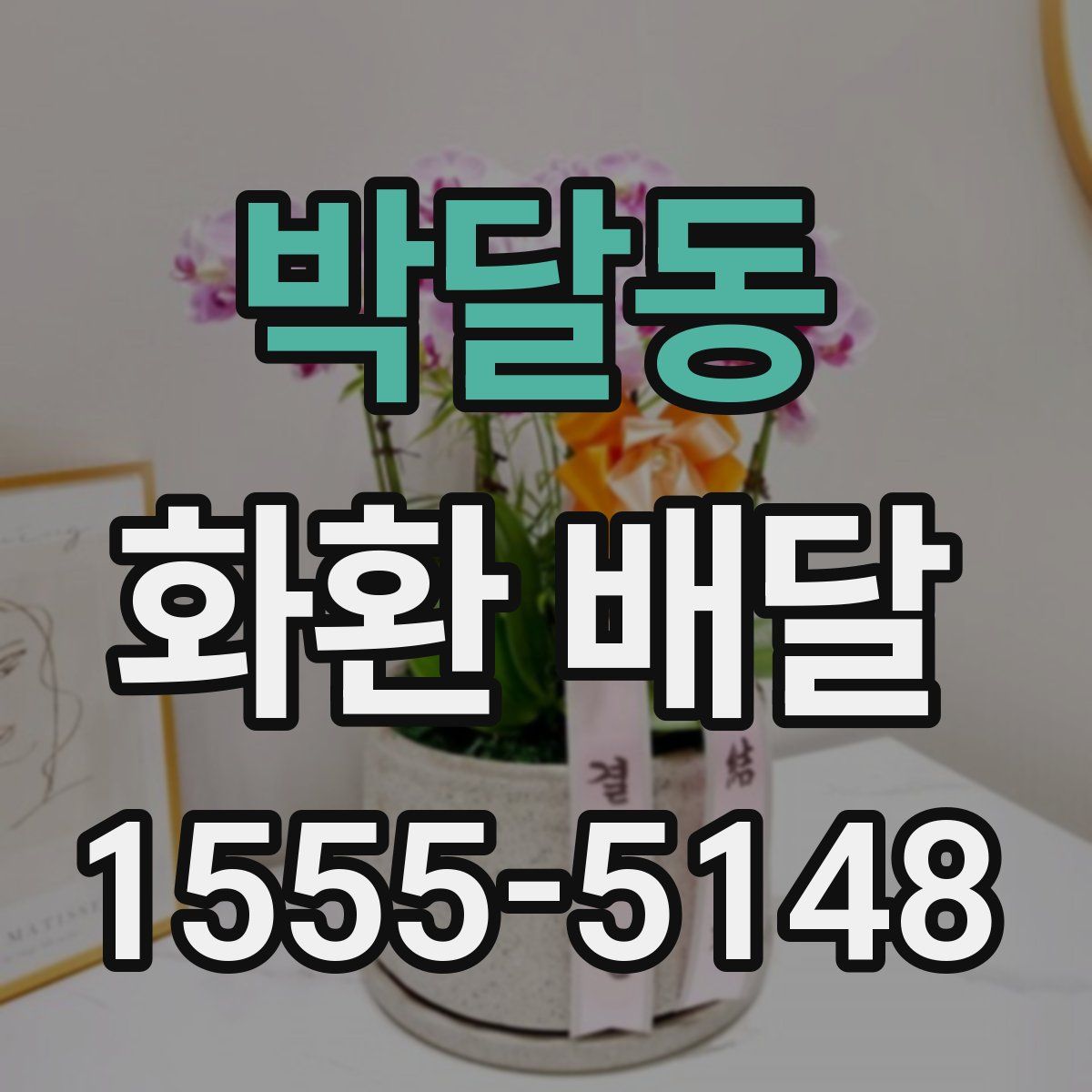 박달동 화환 배달