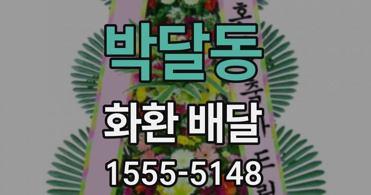 박달동 화환 배달