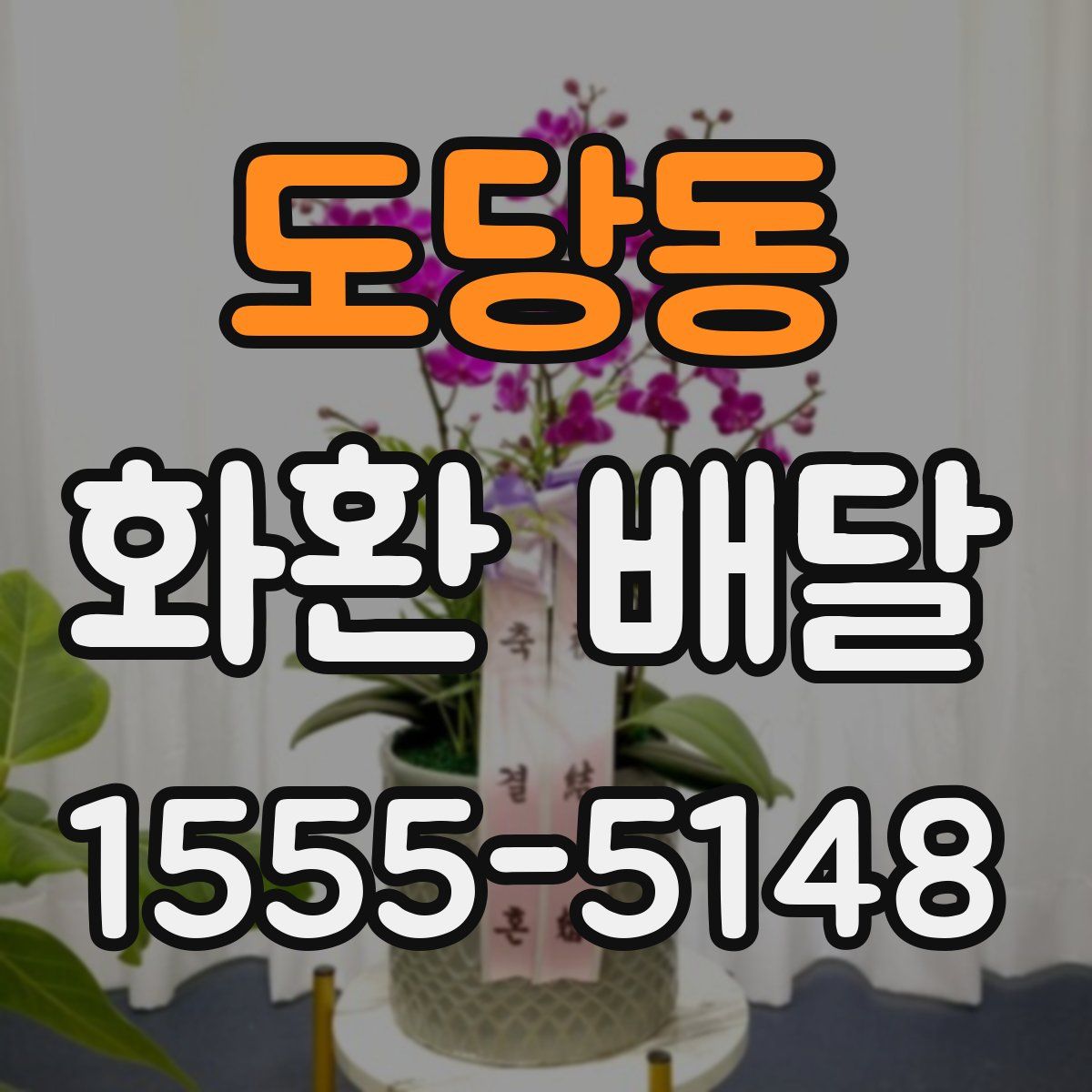 도당동 화환 배달