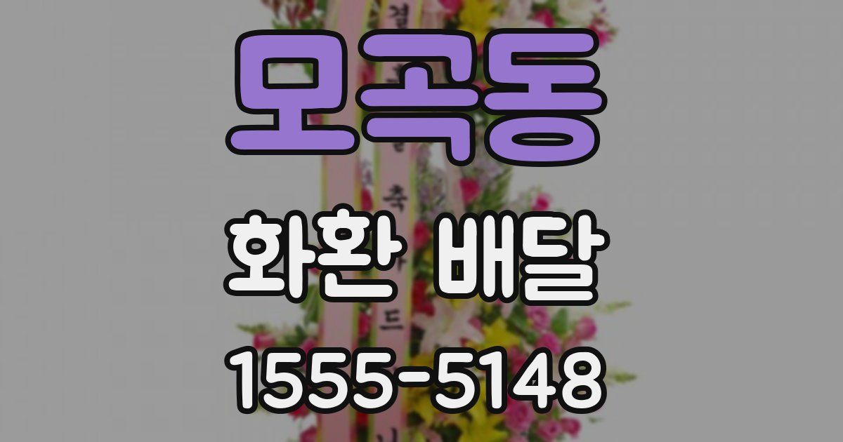 모곡동 화환 배달