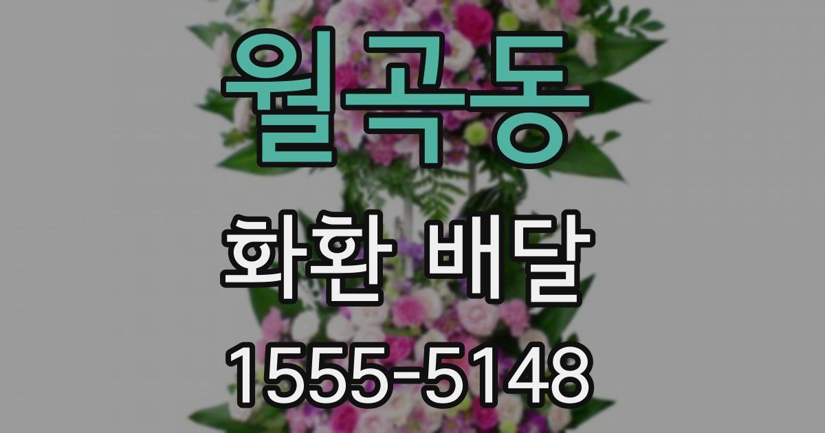 월곡동 화환 배달