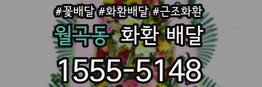 월곡동 화환 배달
