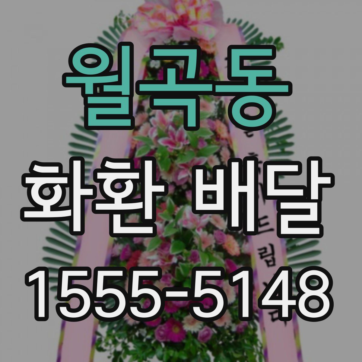 월곡동 화환 배달