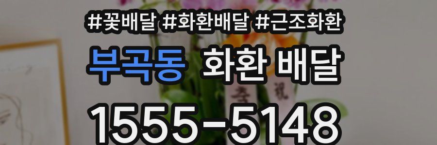 부곡동 화환 배달