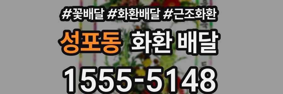 성포동 화환 배달