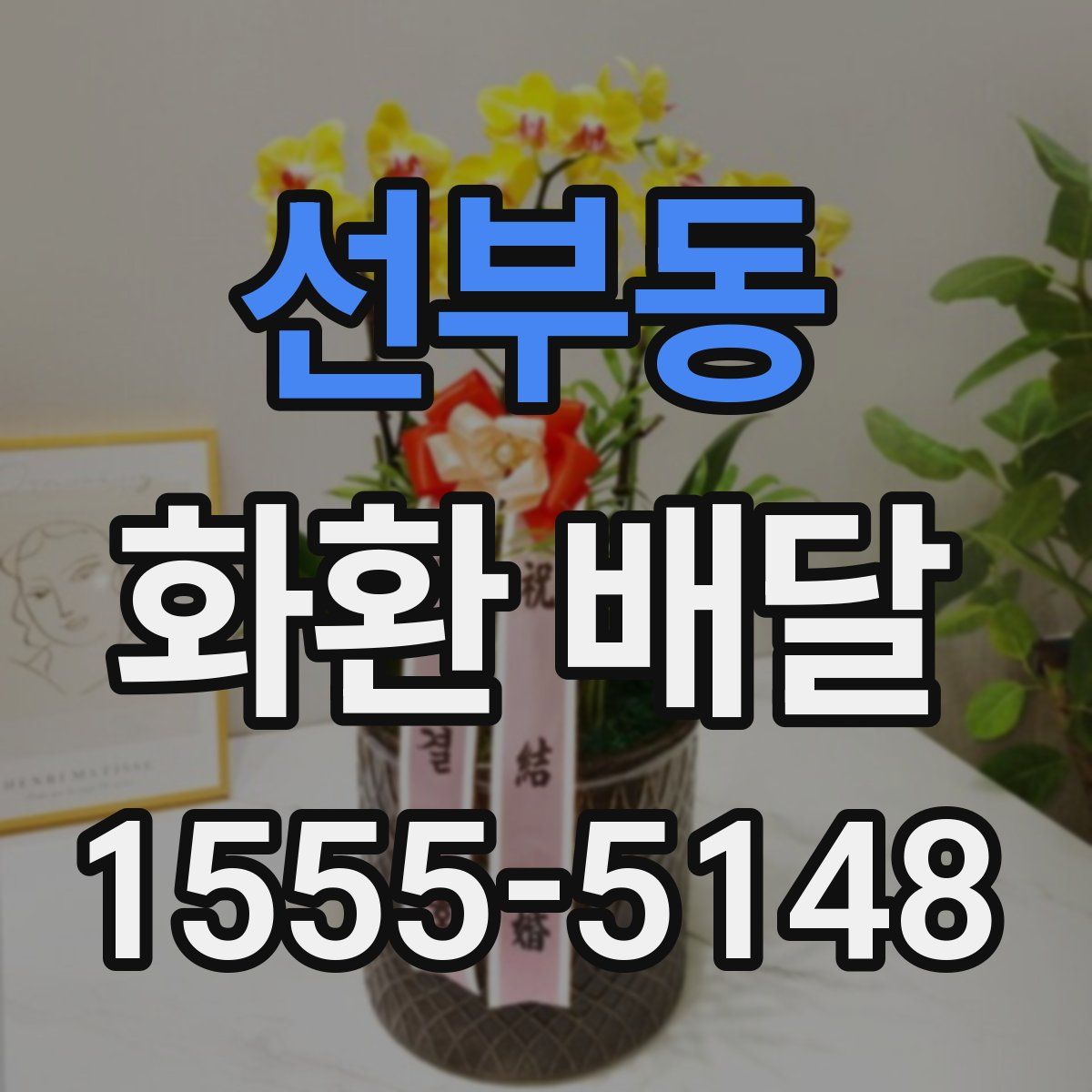 선부동 화환 배달