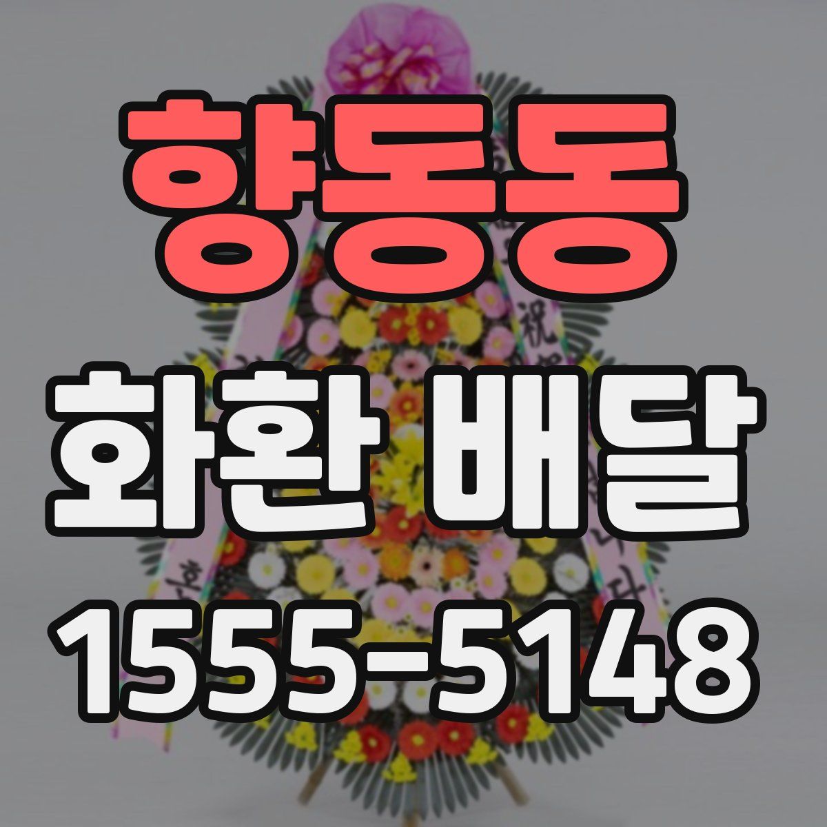 향동동 화환 배달