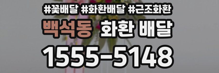 백석동 화환 배달