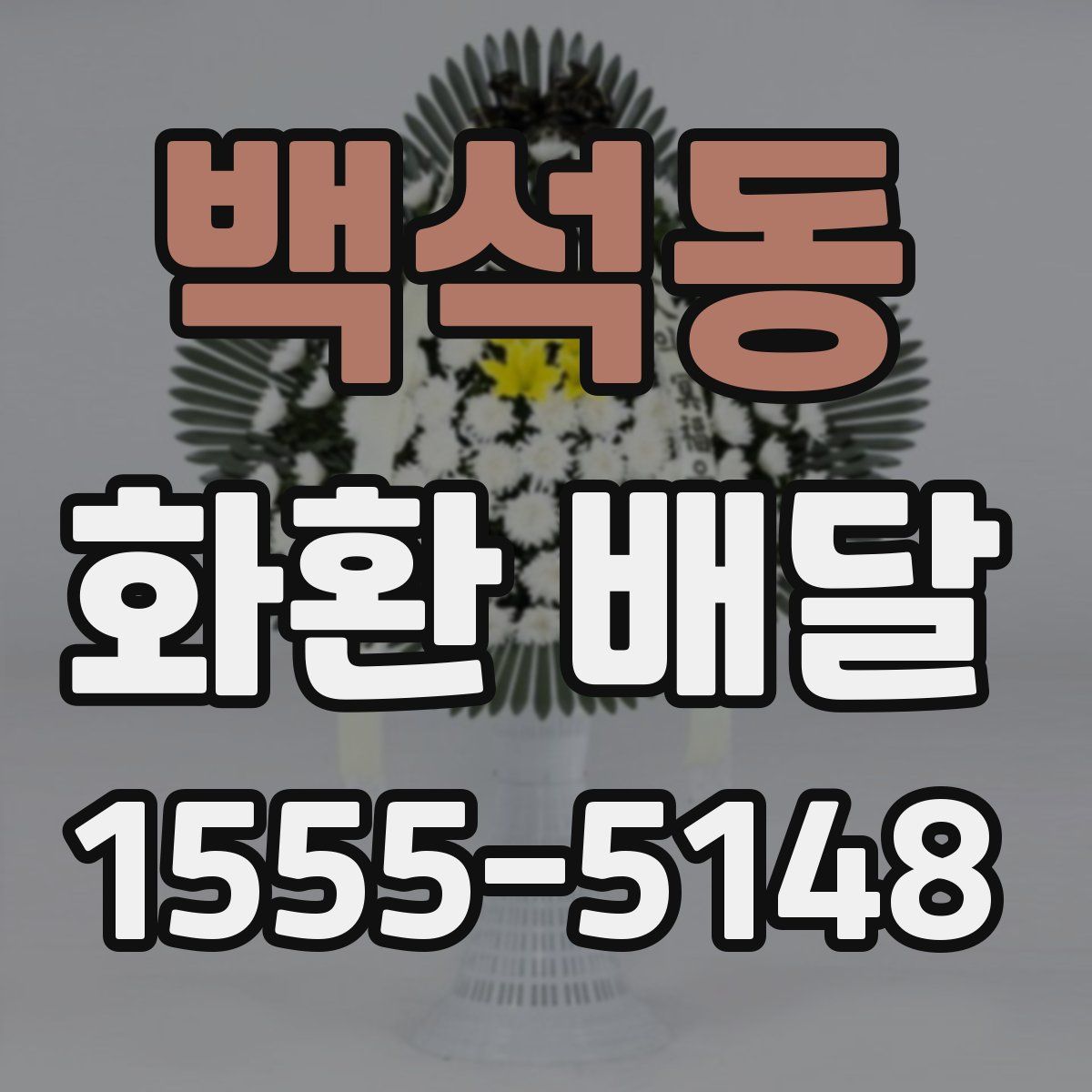 백석동 화환 배달