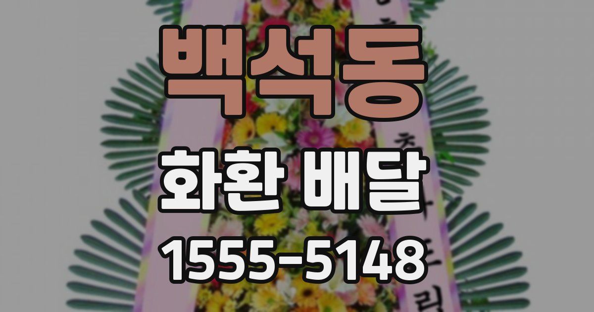 백석동 화환 배달