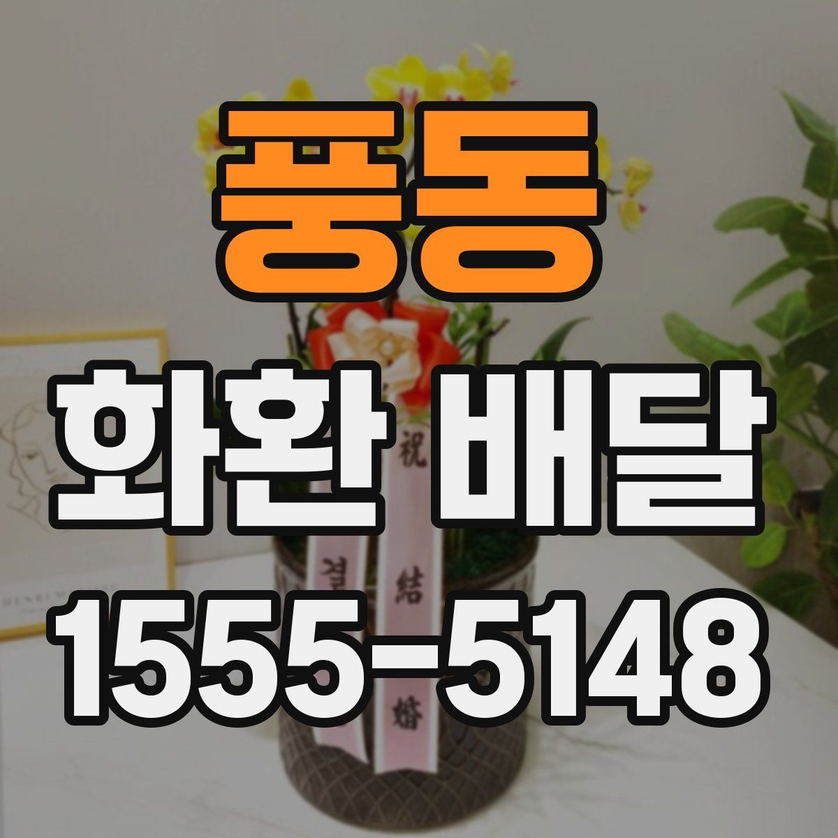 풍동 화환 배달