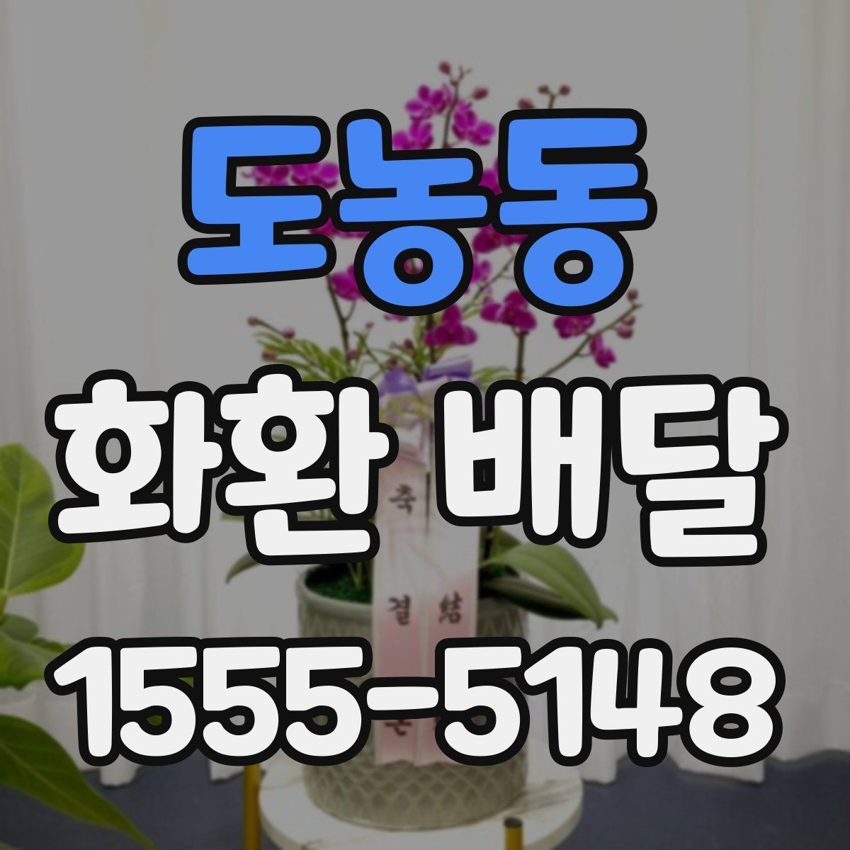 도농동 화환 배달