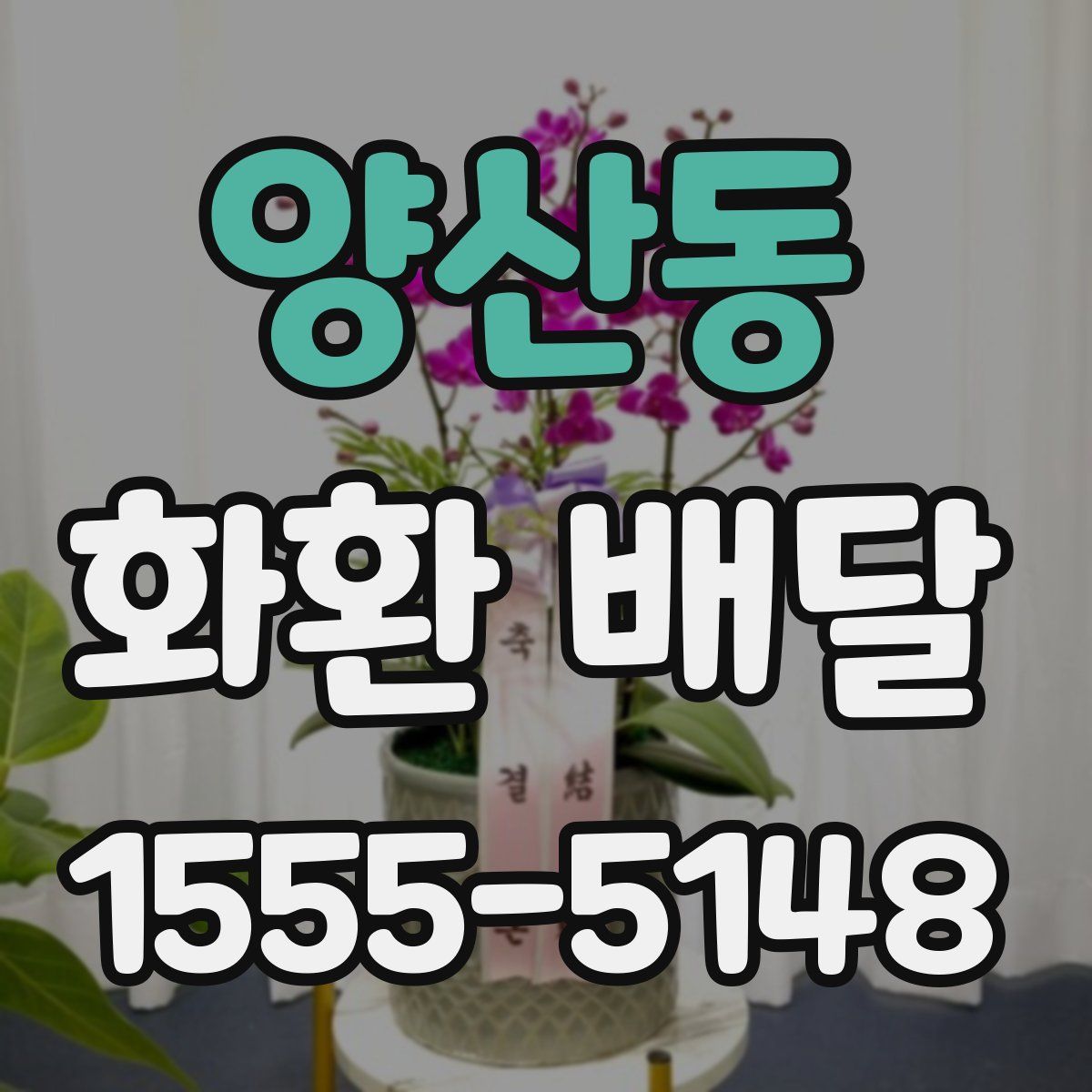 양산동 화환 배달