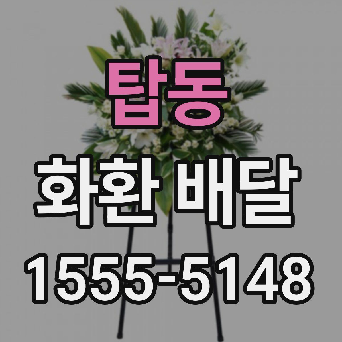 탑동 화환 배달