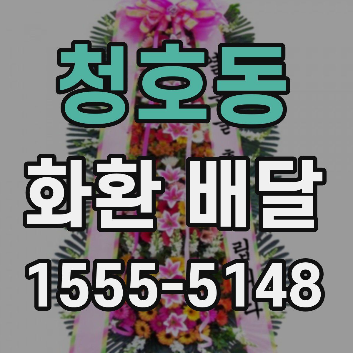 청호동 화환 배달