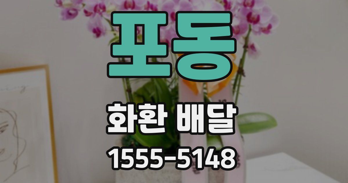 포동 화환 배달