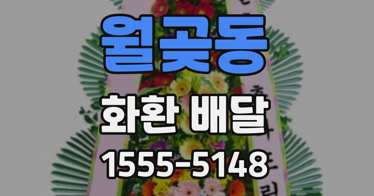 월곶동 화환 배달
