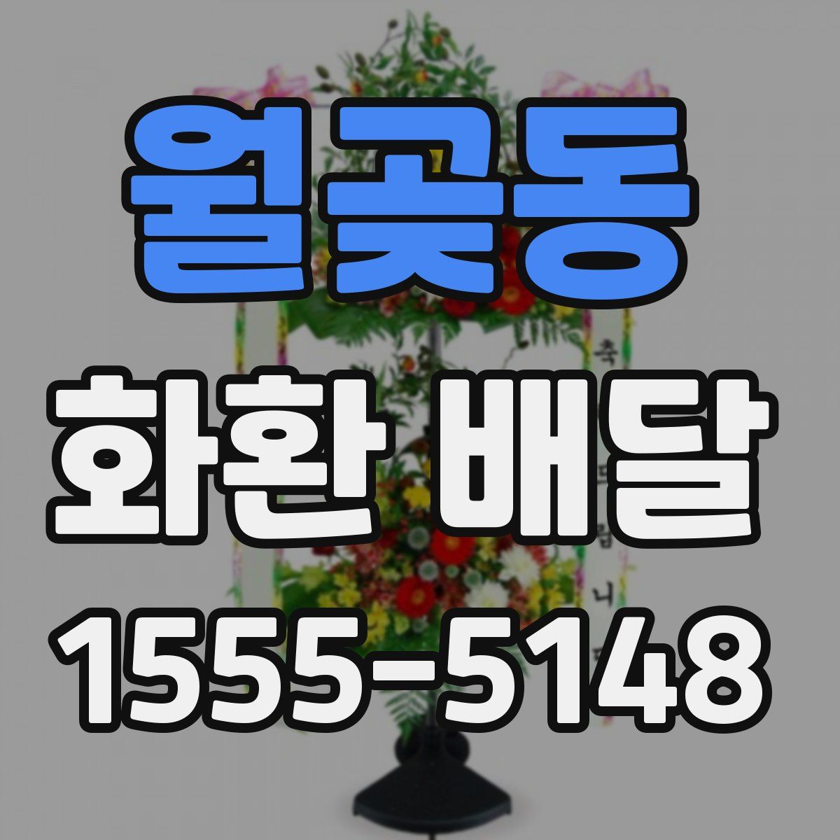 월곶동 화환 배달