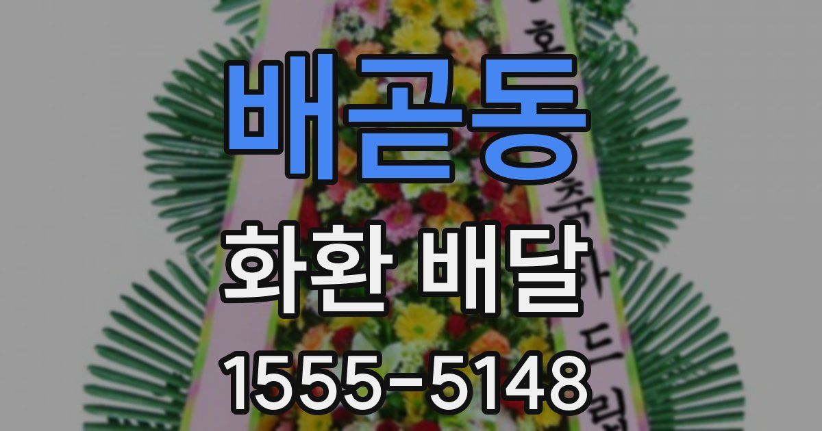 배곧동 화환 배달