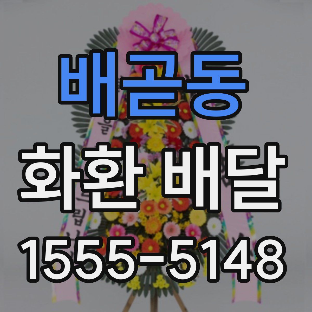 배곧동 화환 배달
