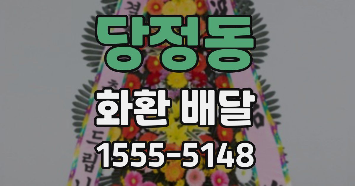 당정동 화환 배달