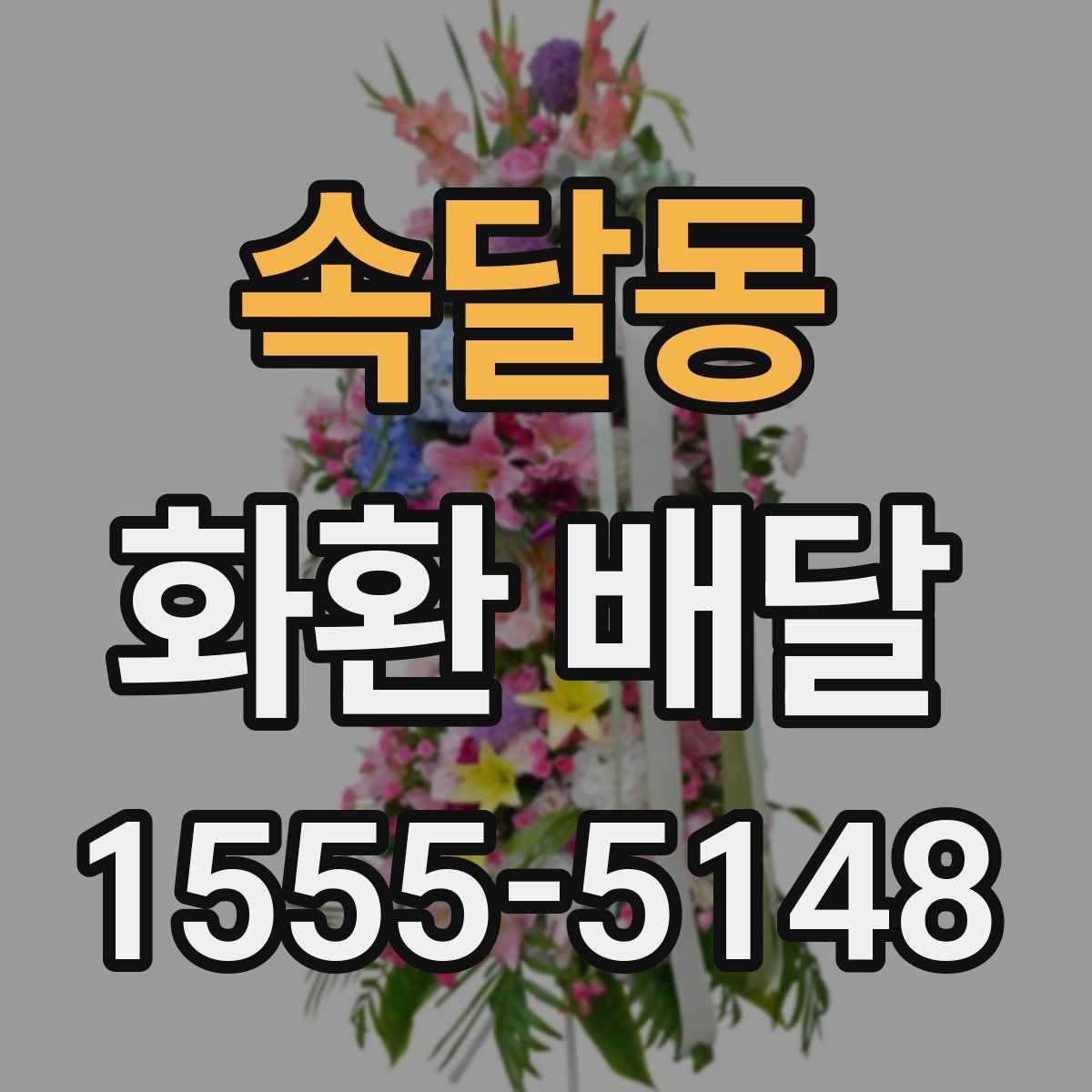 속달동 화환 배달