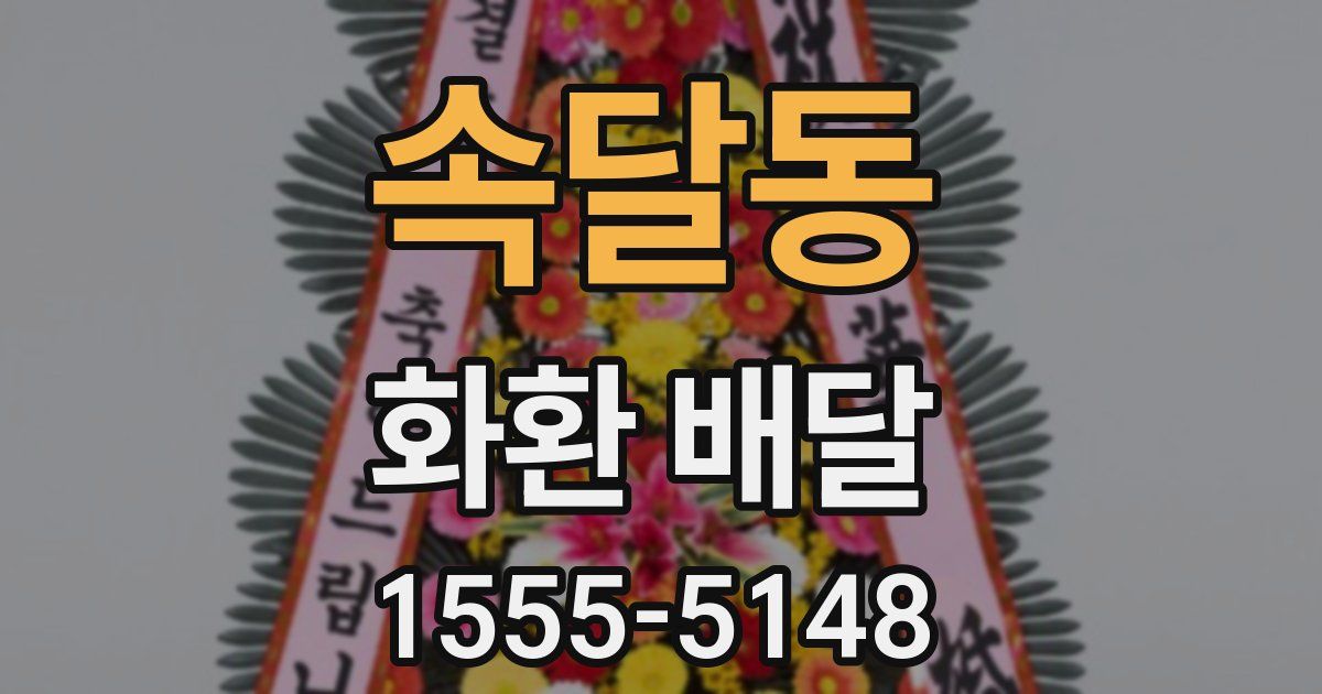 속달동 화환 배달