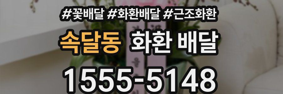속달동 화환 배달