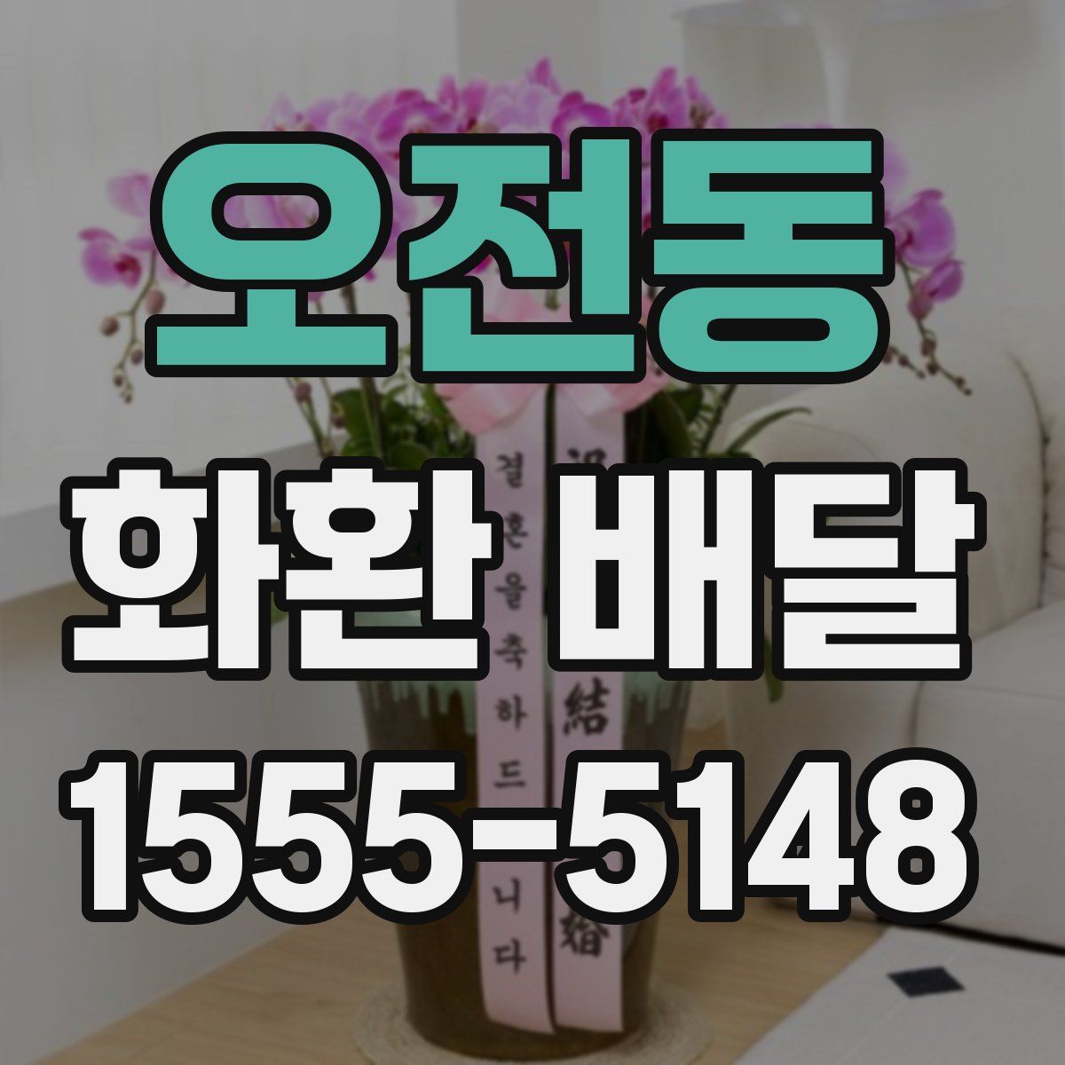 오전동 화환 배달