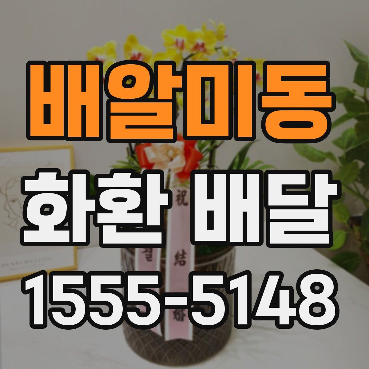 배알미동 화환 배달