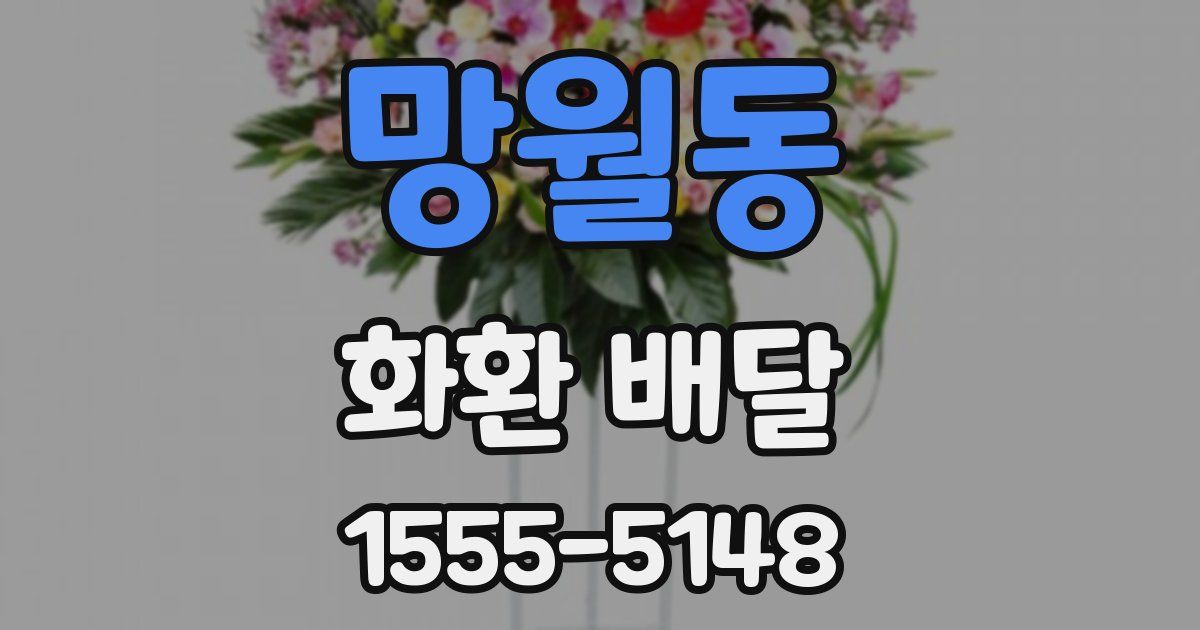 망월동 화환 배달