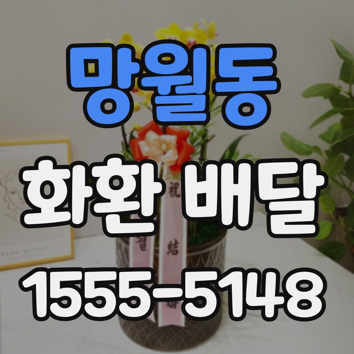 망월동 화환 배달
